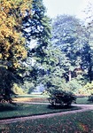 September 1963: Herbststimmung im Greizer Park in der Nhe der Trauerbuche