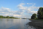 26.07.2023: Rhein - oberhalb des Andernacher Hafens mit der Brcke der B 256