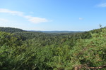 18.08.2020: Pflzerwald - Blick von den Altschlossfelsen in Richtung Sdwesten, nach Frankreich