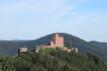 19.08.2020: Pflzerwald - Blick von der Burgruine Scharfenstein zur Burg Trifels