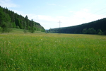 28.05.2012: Thringen (Sonstiges) - im Tal der Schwarza (Nebenfluss der Hasel) beim gleichnamigen Ort