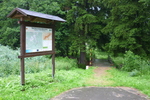 05.07.2011: Grenzbrcke bei Rittersgrn