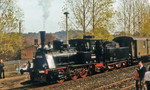 Hundertjhriges Jubilum der Verbindungsbahn 1979 im Bf Mohlsdorf (Aufnahme: Wolfgang Mecir)
