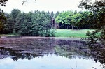 03.06.1974: Schwarzer Teich zwischen Waldhaus und Bildhaus