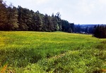 03.06.1974: Wiese zwischen Schlötenmühle und Schwarzem Teich