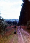 25.07.1970: Streckerweg von Waldhaus nach Pohlitz, Blick nach Herrenreuth