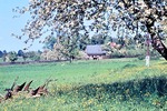30.05.1965: Waldhaus