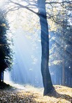 24.10.1965: Herbstmorgen am langen Weg bei Waldhaus