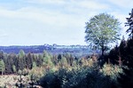 05.05.1968: Blick über die Forstwiese nach Herrenreuth