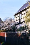 01.05.1966: Kirschblte in Pohlitz