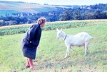 29.08.1965: Am Aschephl