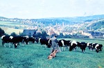 September 1964: Blick vom Aschephl nach Aubachtal