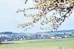 26.05.1965: Schnfeld