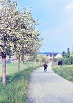 26.06.1965: Schnfeld, Siedlung Freiheit