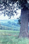 08.07.1967: Blick auf Reinsdorf