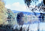 Anfang Oktober 1963: Blick ber den Parksee nach dem Brand