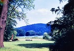Juli 1963: Blick ber den Parksee zum Weien Kreuz