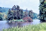 08.06.1964: Konifereninsel im Parksee