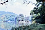 Juli 1963: Konifereninsel im Parksee