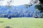 August 1964: Hammerwiesen im Greizer Park