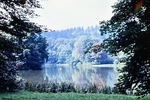 Juli 1963: Blick ber den Parksee; links ein Teil der Schwaneninsel