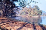 30.10.1966: Herbst im Greizer Park, vor der Schwaneninsel
