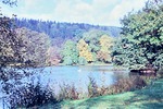 Anfang Oktober 1963: Herbst am Parksee