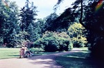 07.06.1964: Parkeingang