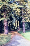 September 1963: Herbststimmung an der Luftbrcke