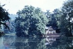 Juli 1963: Schwaneninsel mit Schwanenhaus
