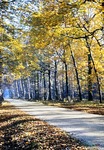 24.10.1965: Herbststimmung am Mausoleum bei Waldhaus