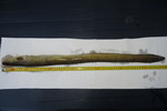 11.06.2013: Aal - 69 cm, 460 g; Sdra Frgen (SE)
