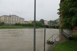01.06.2013: Weie Elster am Roten Haus