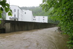 01.06.2013: Gltzsch an der Schwarzhammermhle