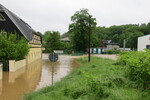02.06.2013: Hirschmhle im Wasser