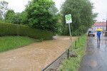 02.06.2013: Aubach neben der Hermann-Pampel-Strae