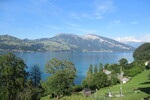 20.07.2020: Berner Oberland - Blick von der Strae Spiez - Einigen auf den Thunersee