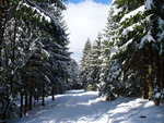 24.03.2008: Erzgebirge und Egergraben - bei Eibenberg