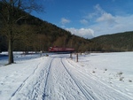 15.01.2017: Vogtland - im Elstertal am Oberhammer bei Berga