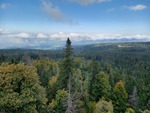01.10.2025: Fichtelgebirge - Blick vom Schssel (Waldstein)