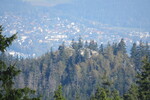 02.10.2025: Fichtelgebirge - Blick von der Ksseine zum Groen Haberstein; dahinter Wunsiedel
