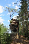 16.08.2020: Pflzerwald - Lmmerfelsen bei Dahn