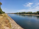 15.08.2026: Rhein - Rhein bei Neuburg