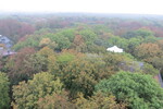 01.10.2016: Thringen (Sonstiges) - Blick vom Baumwipfelpfad auf den Nationalpark Hainich
