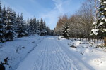 27.02.2016: Vogtland - auf dem Kammweg Erzgebirge - Vogtland