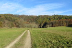 01.11.2015: Vogtland - im Elstertal bei Wnschendorf