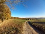 09.11.2020: Vogtland - Brandhaus bei Greiz-Raasdorf