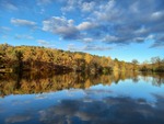 10.11.2023: Vogtland - Herbst am Hirschteich in Greiz-Aubachtal
