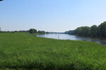 16.05.2013: Elbe bei Mhlberg