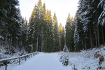 27.02.2016: Vogtland - im Tal der Groen Pyra